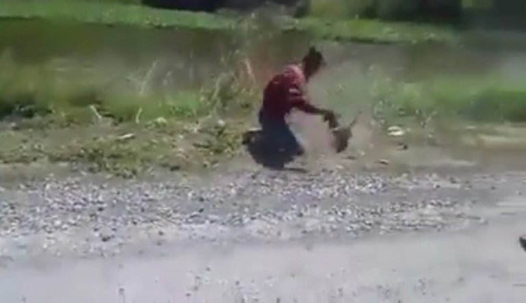 Motornya yang terparkir diambil alih monyet yang dilakukan pria ini malah bikin ngakak 2
