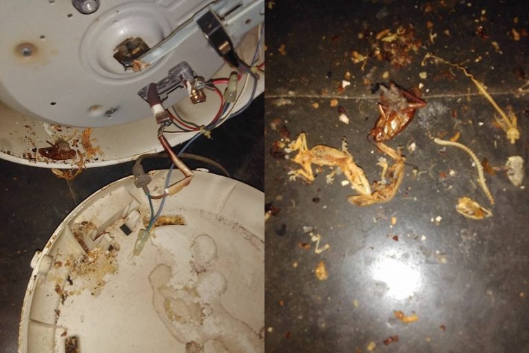 Nasi yang dimakan beraroma tak sedap ibu ini kaget saat bongkar magic com ada ini didalamnya