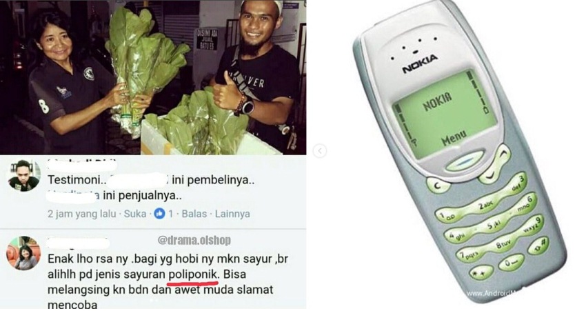 Testimoni yang diberikan konsumen ini bikin ngakak, apa iya ada sayur poliponik?