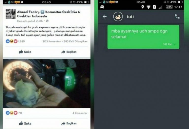 Asli ngakak Bukannya antar penumpang driver ojol ini dapat orderan anter anak ayam mba ayamnya sudah sampai dengan selamat