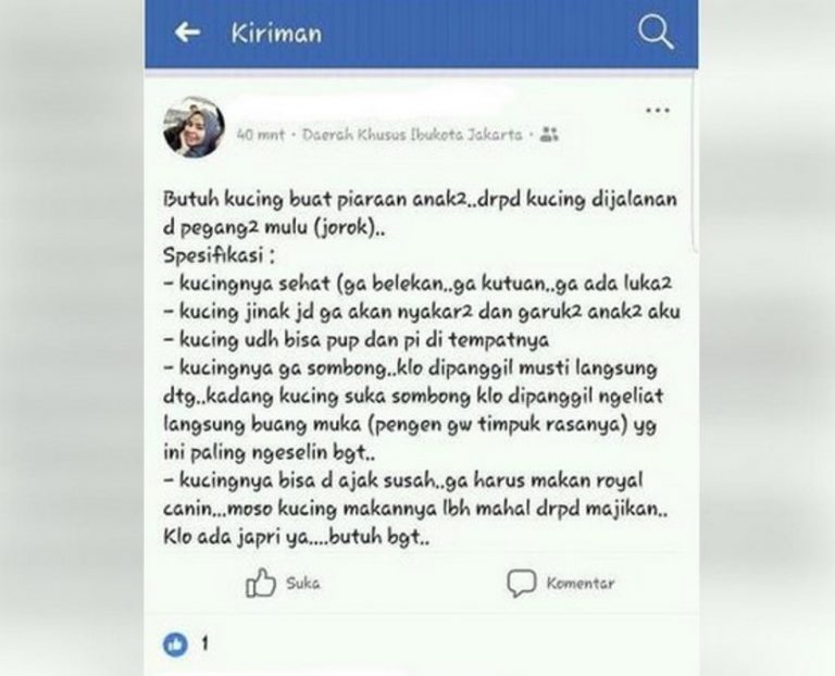 Ingin pelihara kucing untuk anaknya spesifikasi yang diminta wanita ini bikin netizen KZL 2