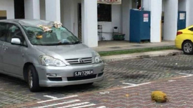 Aneh gak ada pohon nangka di sekitarnya atap dan kaca bagian depan mobil ini rusak tertimpa buah nangka