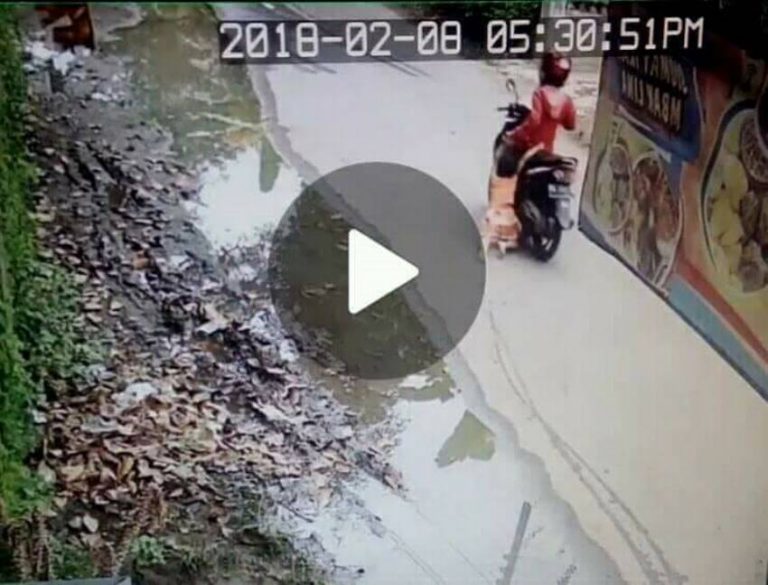 Bocah 5 tahun di Klaten diseret pakai motor oleh ibu kandungnya pelaku diduga depresi