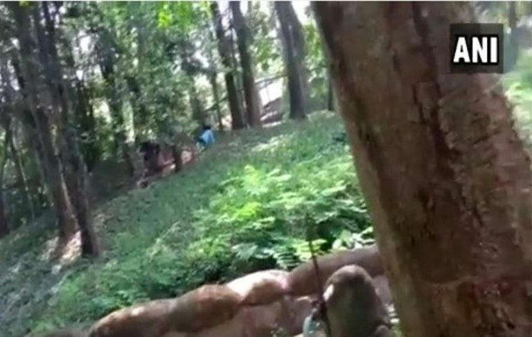 Pria ini nekat masuk kandang singa alasannya ingin cari teman ngobrol