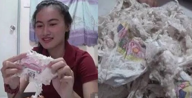 Tergiur diskon wanita ini borong 4 bantal sekaligus 2 tahun kemudian ada yang aneh saat dibelah ternyata isinya