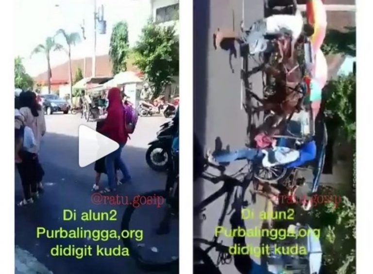 Viral video kuda gigit orang di Alun Alun Purbalingga warga sekitar menjerit panik
