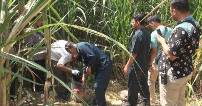 Wakil Ketua DPC PPP Jombang