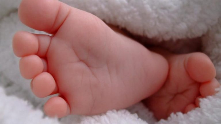 Aneh tapi nyata bukan ulah manusia bayi berumur 16 hari ini diculik monyet