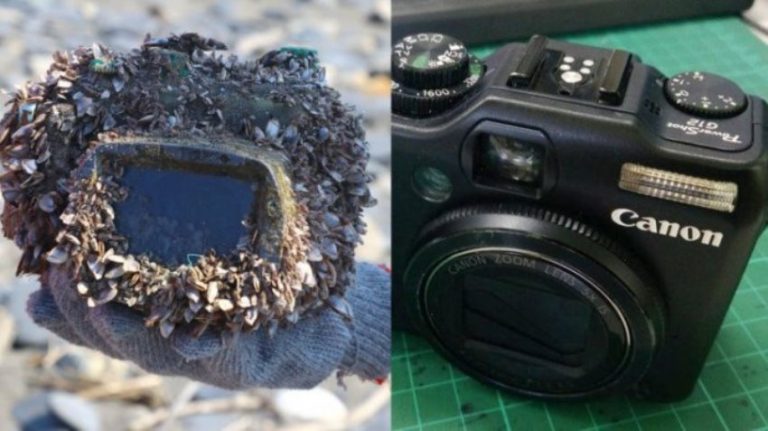 Bocah SD ini temukan kamera saat main di pantai pas dibuka ada foto mengejutkan