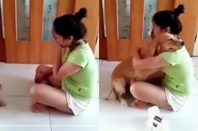 Mengetahui pemiliknya sedih dan menangis yang dilakukan anjing ini bikin baper sweet banget