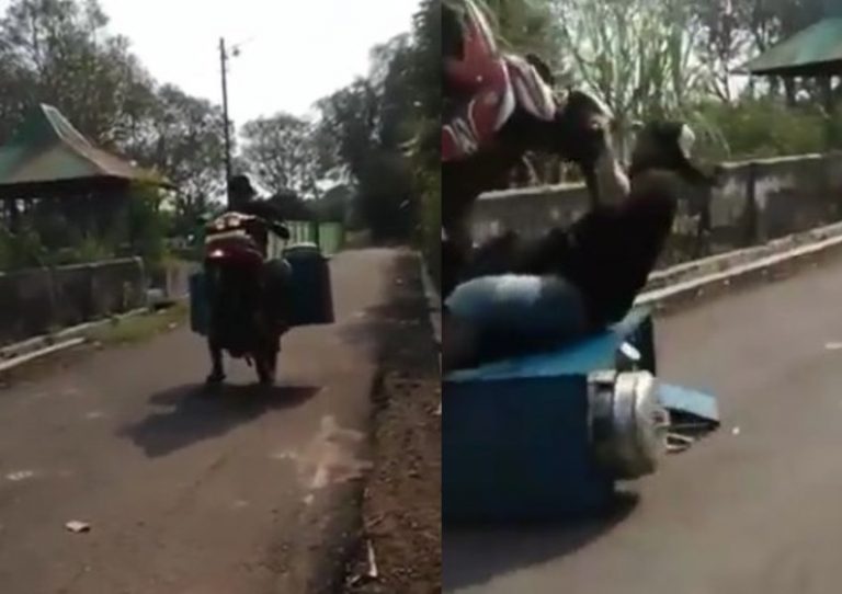 Narik pembeli tukang pentol ini jualan sambil atraksi terbangkan motor tapi malah begini apes