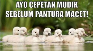10 meme mudik yang bisa ngusir jenuh saat di perjalanan, dijamin bikin ngakak!