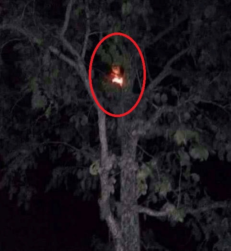 Video viral! Penampakan hantu kuyang hebohkan warga Balikpapan