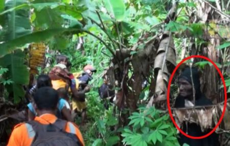 Sosok misterius terekam kamera tim penjelajah saat lintasi hutan Halmahera videonya viral