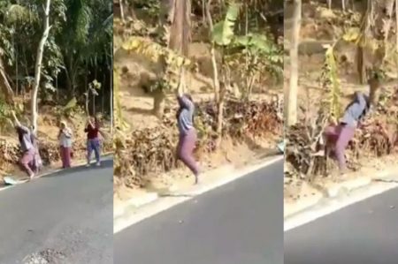 Aksi nyeleneh emak emak bergelantungan di dahan pohon kelapa viral netizen entah apa yang merasukimu