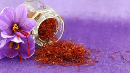 Manfaat bunga saffron untuk program diet