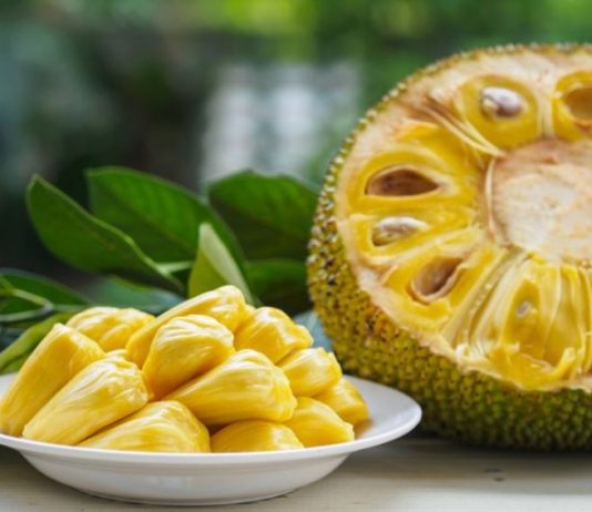 Manfaat buah nangka bagi kesehatan tubuh