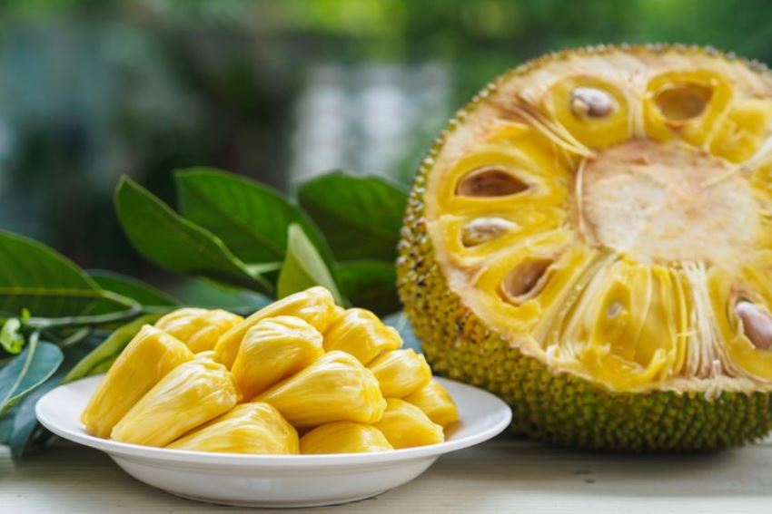 Manfaat buah nangka  bagi kesehatan tubuh Hageuy com