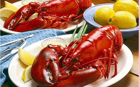 Mempunyai cita rasa lezat ini manfaat lobster bagi kesehatan tubuh