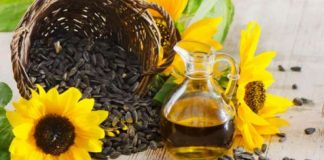 Manfaat minyak bunga matahari untuk kecantikan