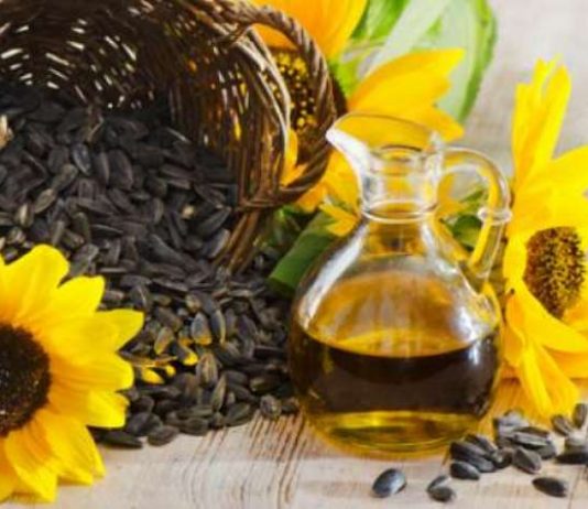 Manfaat minyak bunga matahari untuk kecantikan