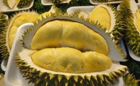 Segudang manfaat buah durian untuk kesehatan