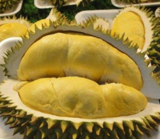 Segudang manfaat buah durian untuk kesehatan