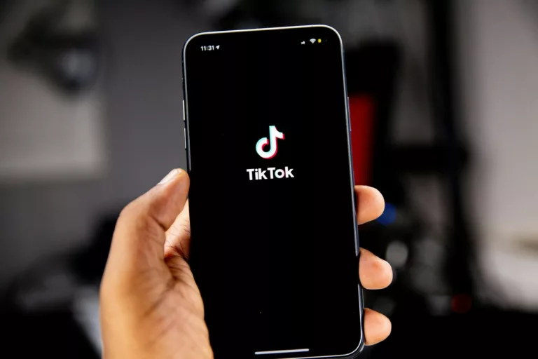Aplikasi Download Lagu TikTok