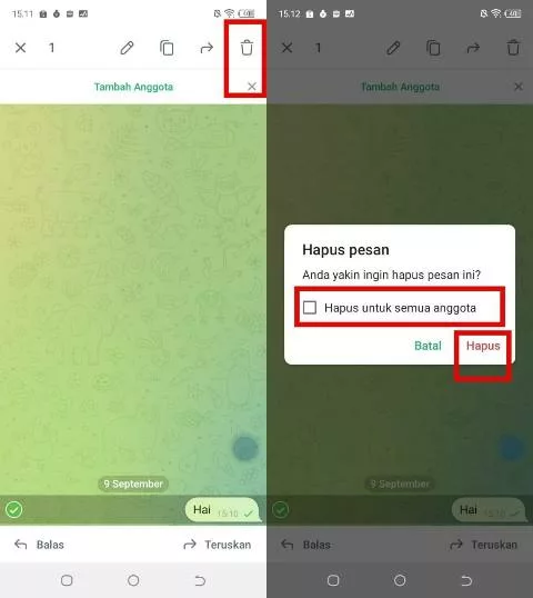 Hapus Pesan di Telegram